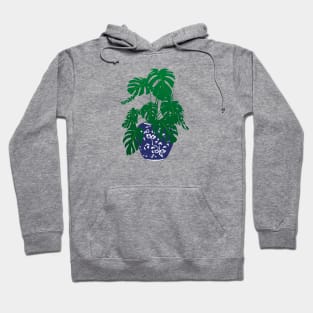 Monstera Plant in Blue and White Plant Pot | Monstera Leaves | House Plants | Pot Plants | Potted Plants | Hoodie